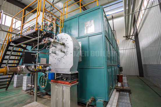 20噸SZS冷凝式燃氣鍋爐項目