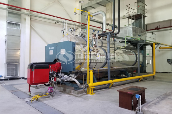 農夫山泉果業10噸WNS系列天然氣蒸汽鍋爐項目