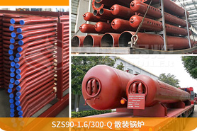 中正鍋爐為確保鍋爐項目順利展，向巴基斯坦提供了專業(yè)的技術(shù)指導