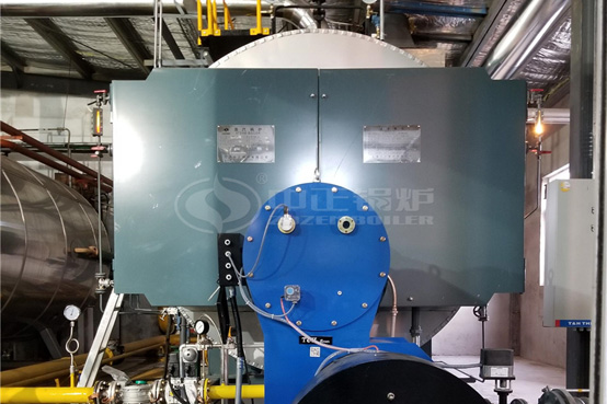 五洲豐農業10噸WNS系列冷凝式天然氣蒸汽鍋爐項目