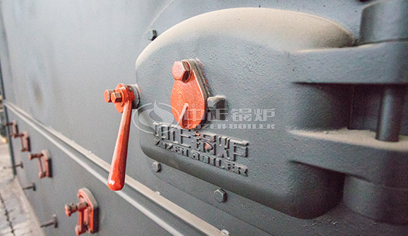 藍德環保4噸WNS系列燃氣蒸汽鍋爐項目